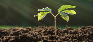 Engenharia Ambiental (Semipresencial)